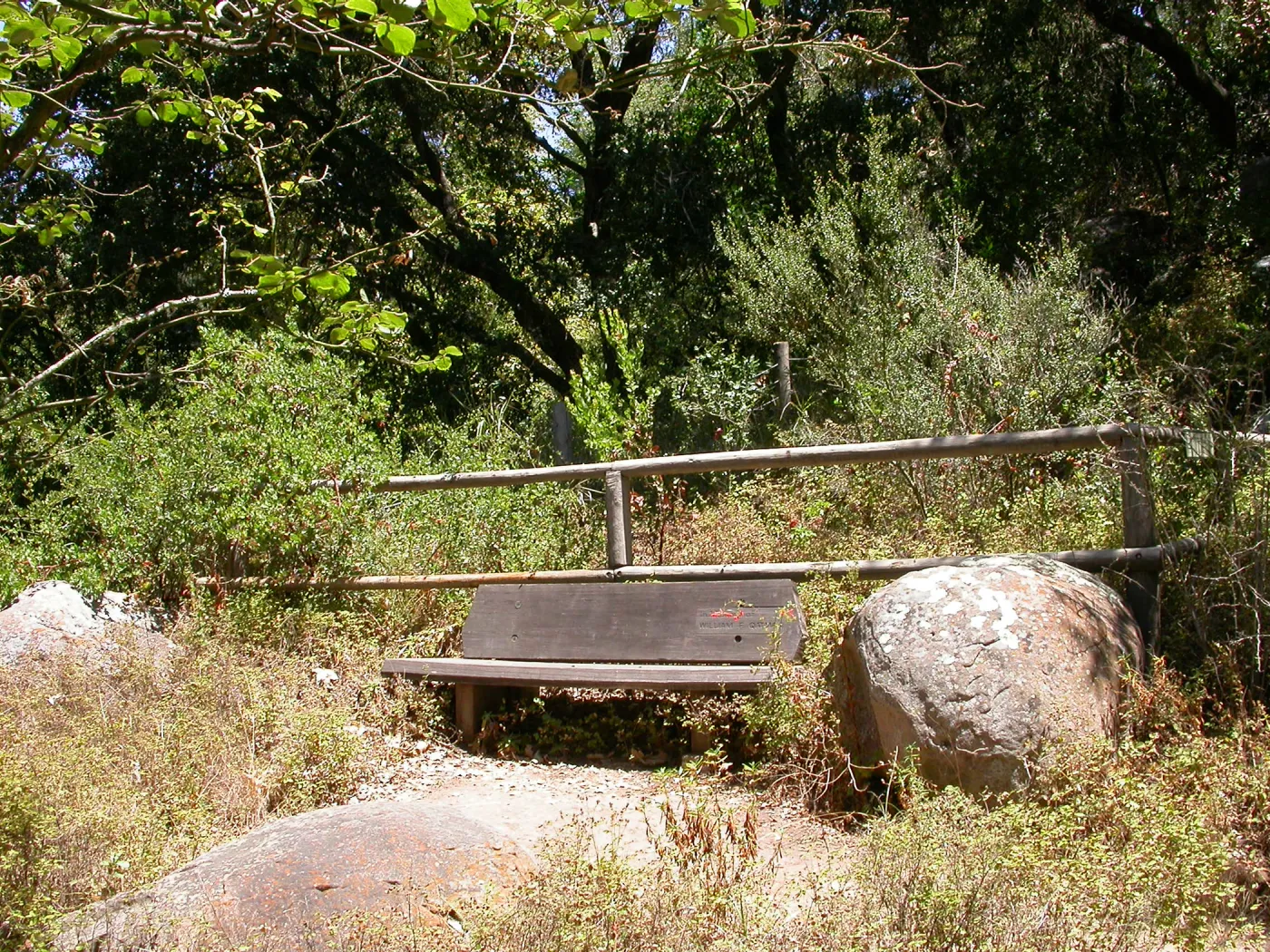 Oatman Bench on Campbell Trail, Picnic Area (Bench #23)