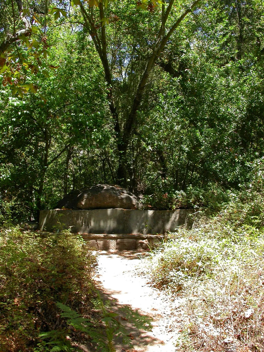 Campbell Bench (Bench #24)