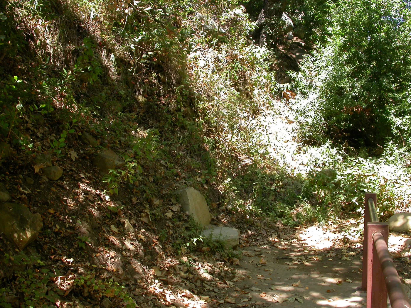 Taylor Bench above Mission Dam (Bench #31)