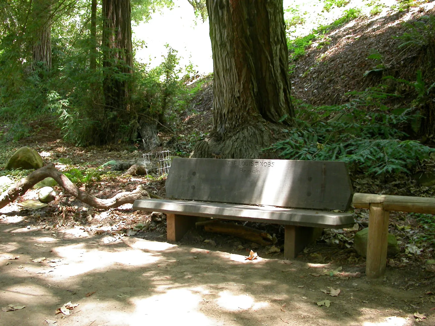 Nobs Bench in the Redwood Section (Bench #29)