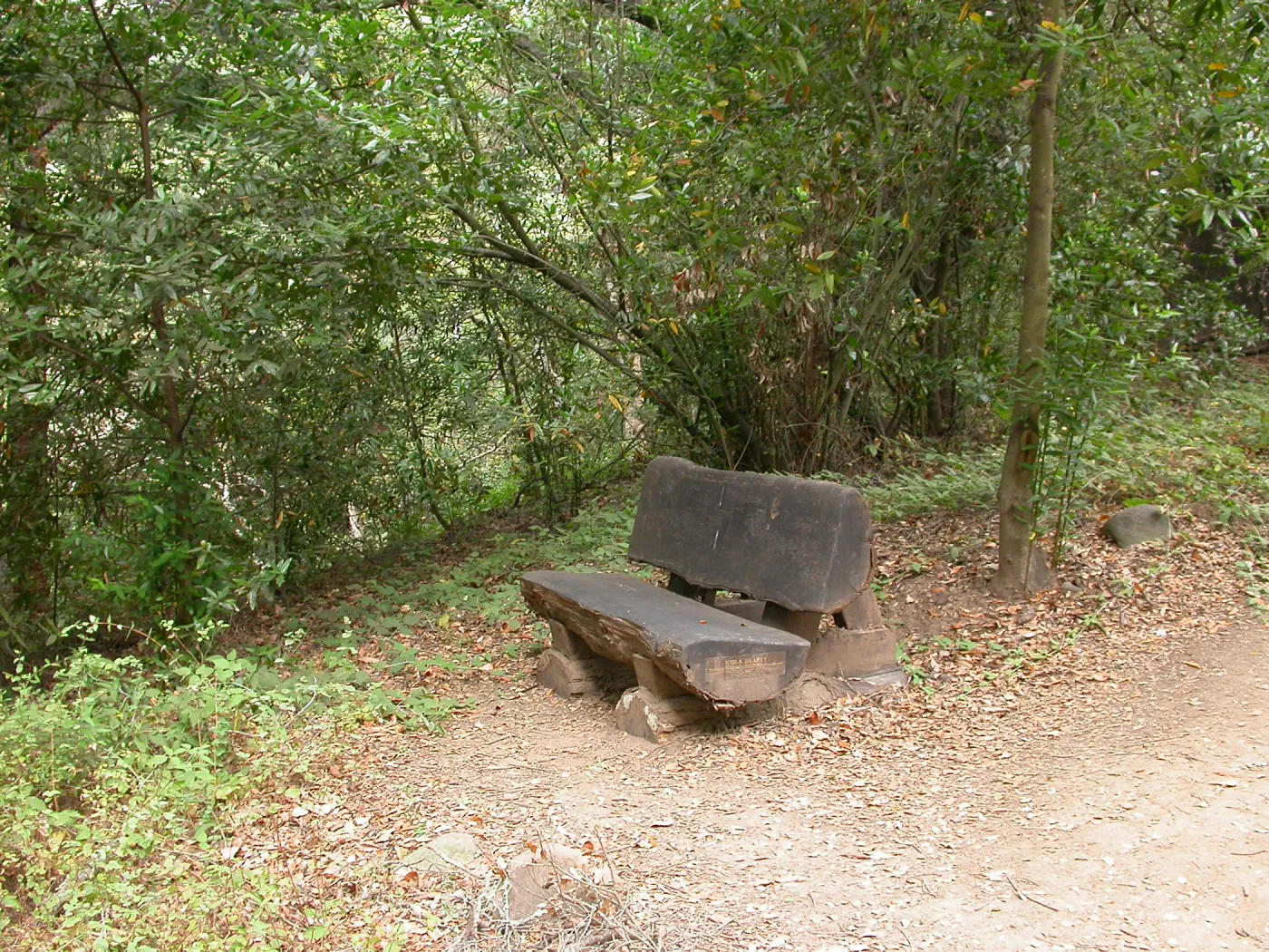 Heaney Bench (Bench #27)