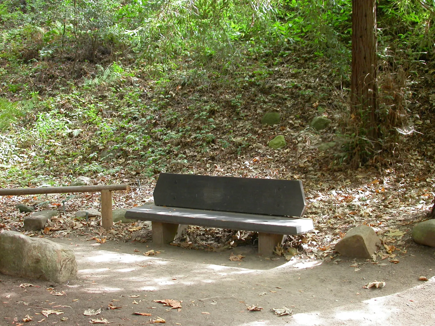 VanSchaick Bench (Bench #30)