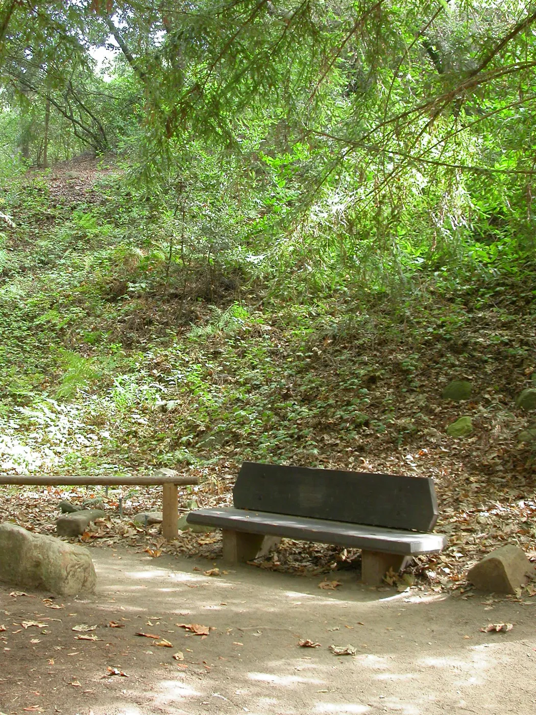 VanSchaick Bench (Bench #30)