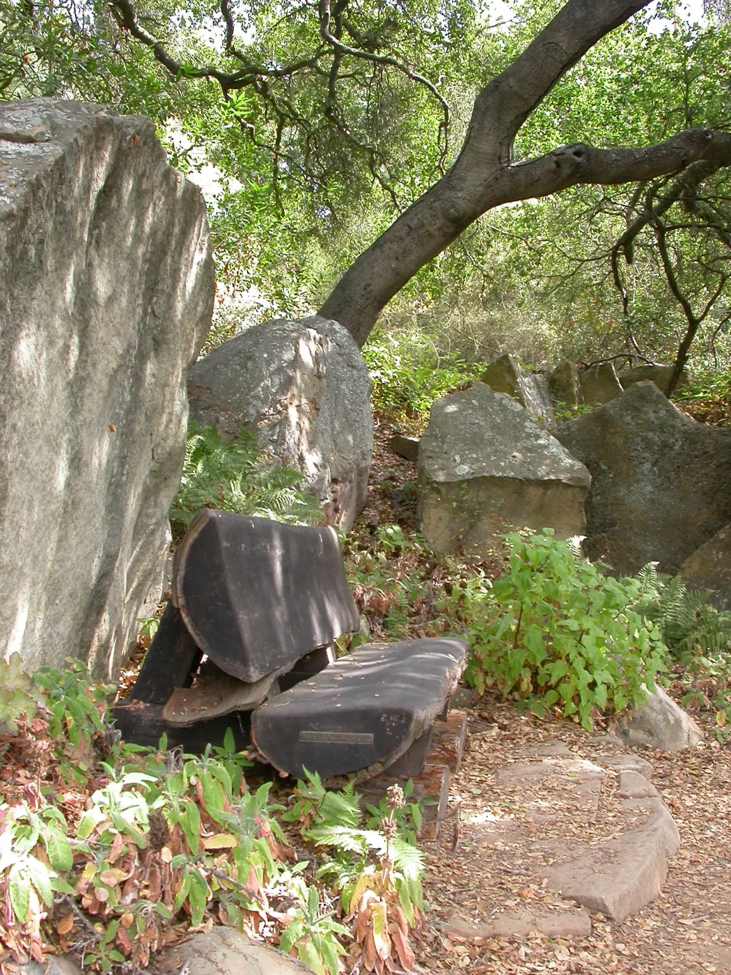 Haim Bench (Bench #32)