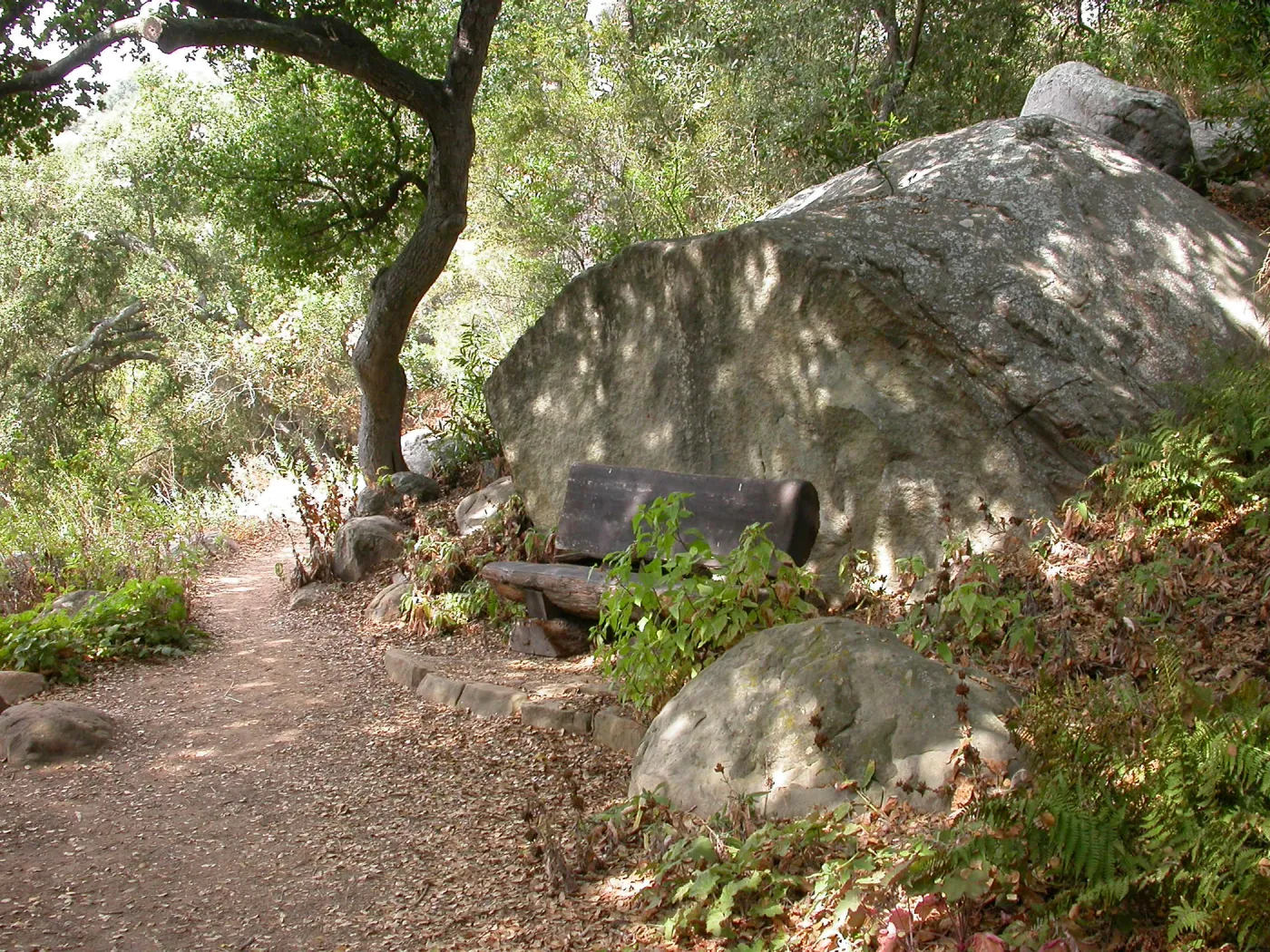 Haim Bench (Bench #32)