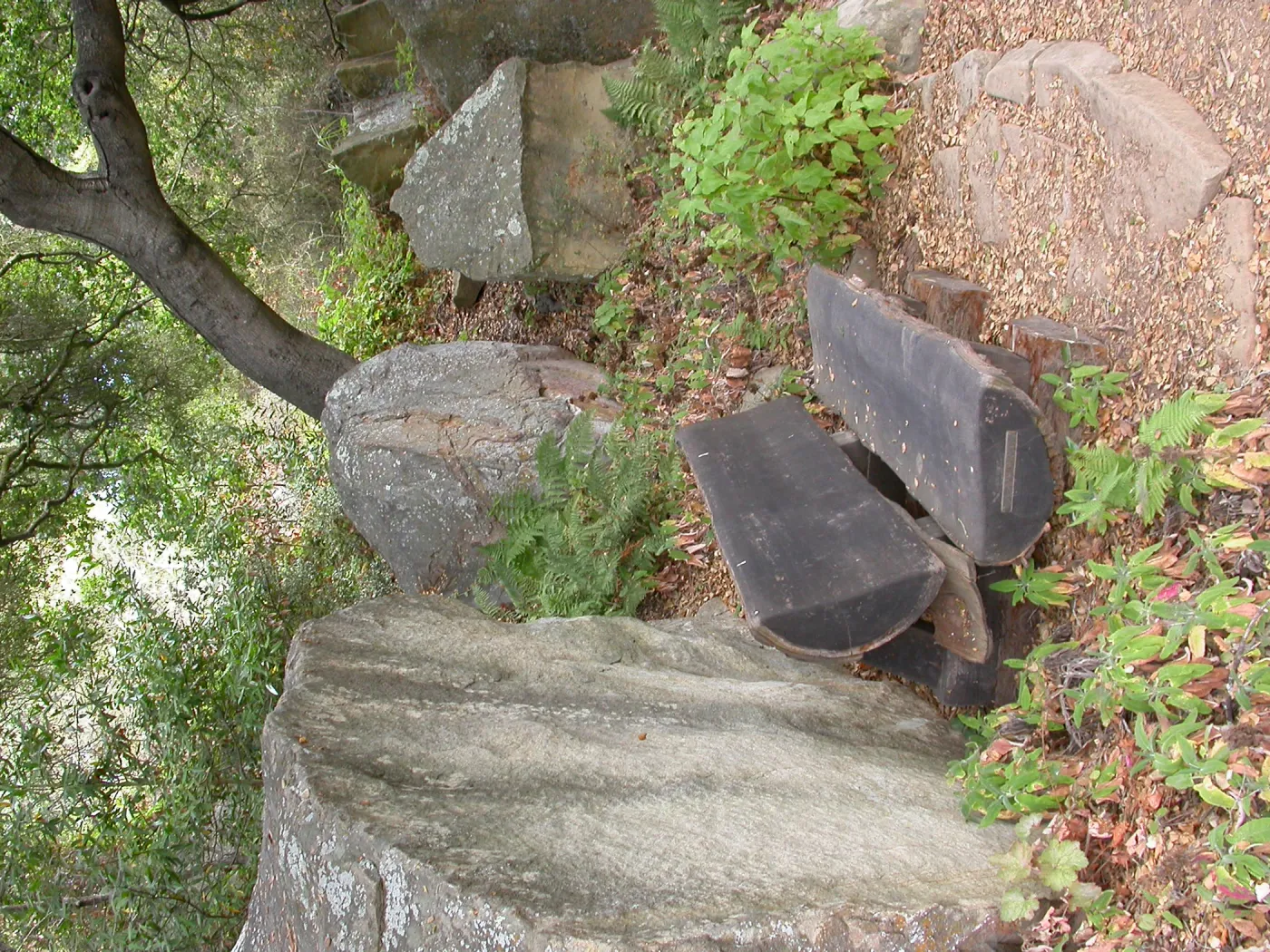 Haim Bench (Bench #32)