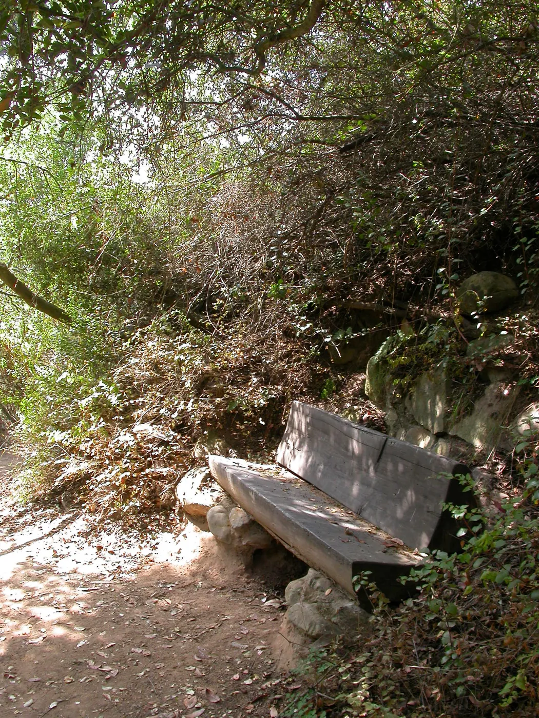 Janeway Bench (Bench #35)