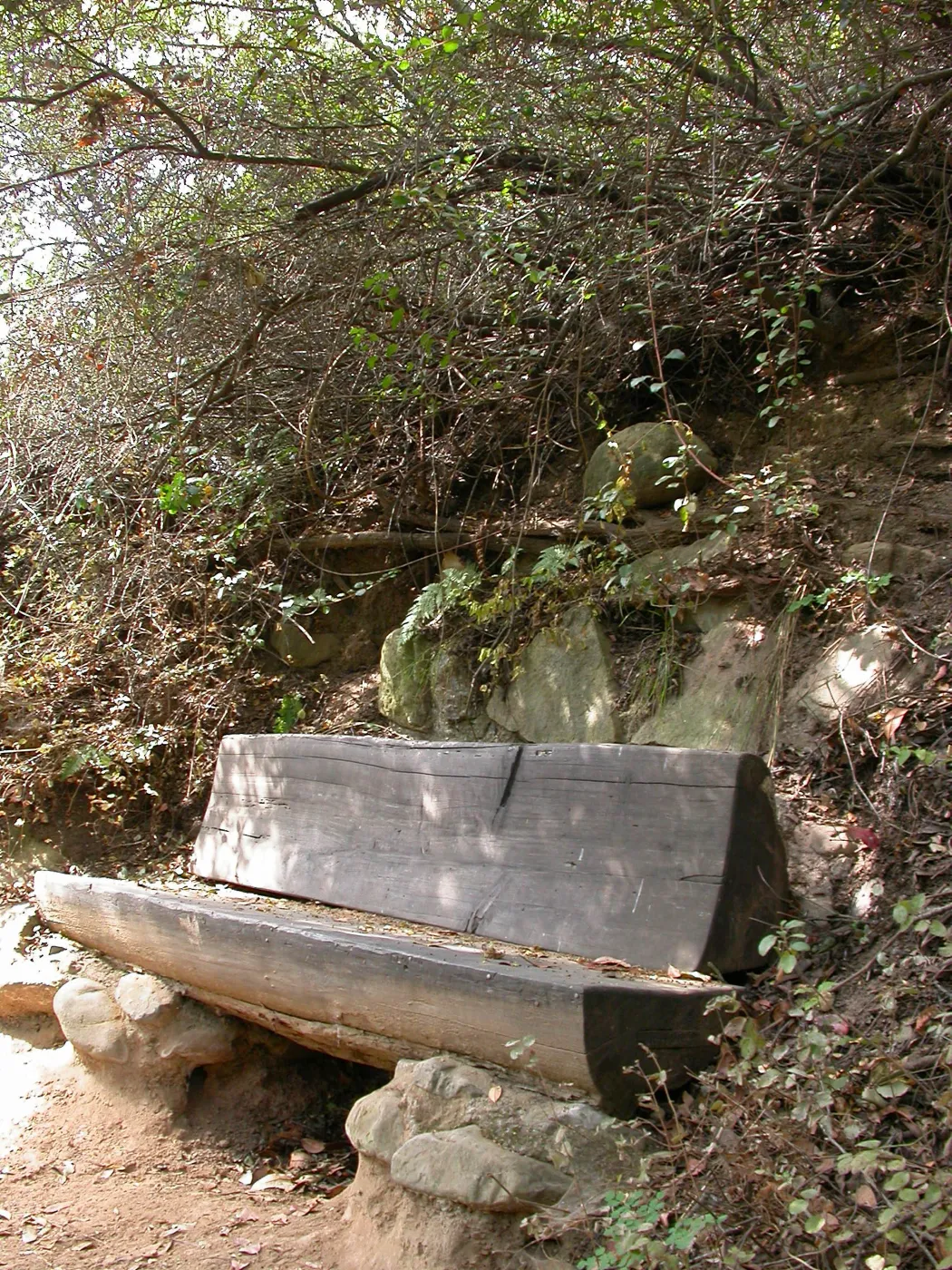 Janeway Bench (Bench #35)