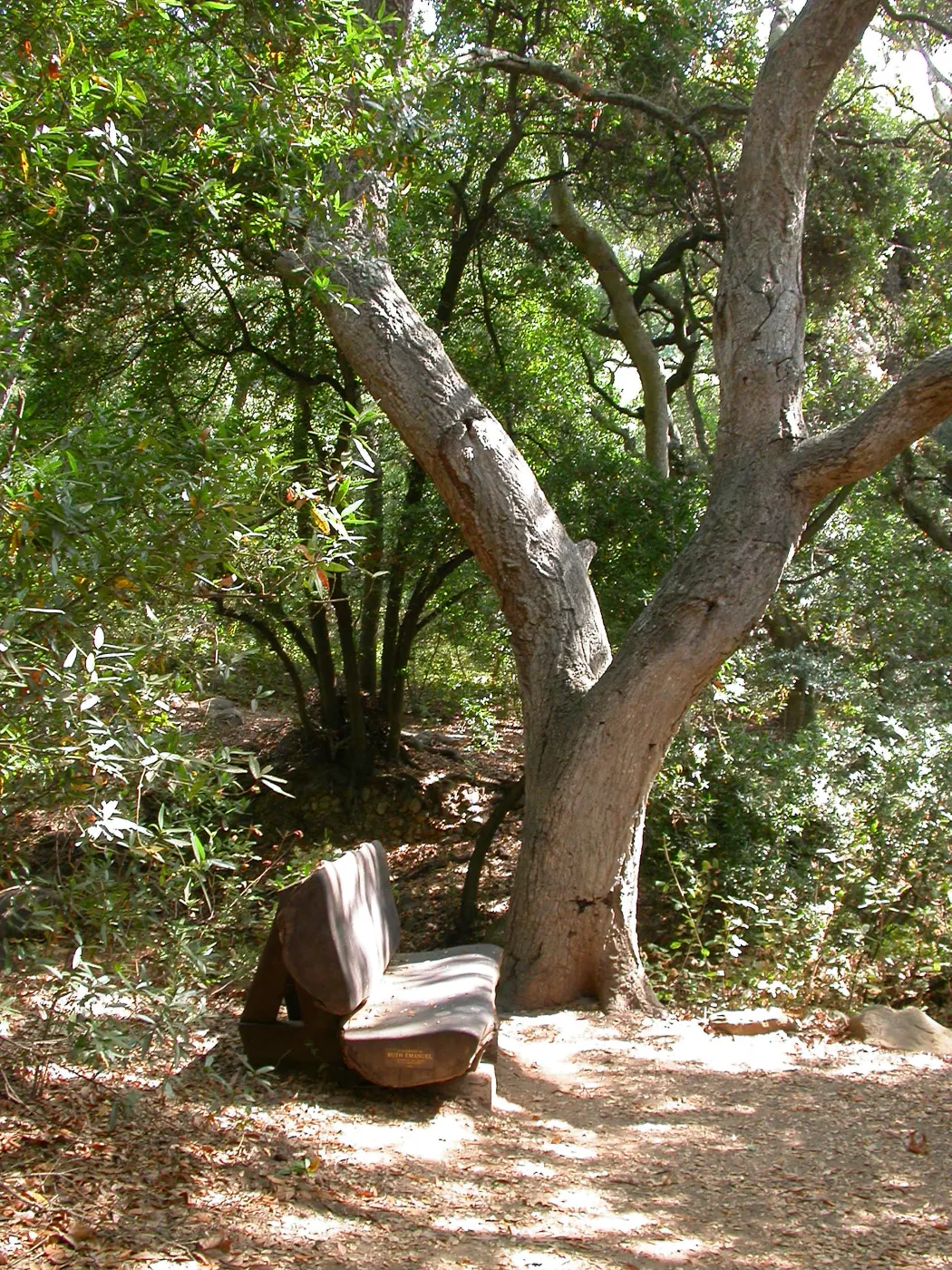 Emanuel Bench (Bench #41)
