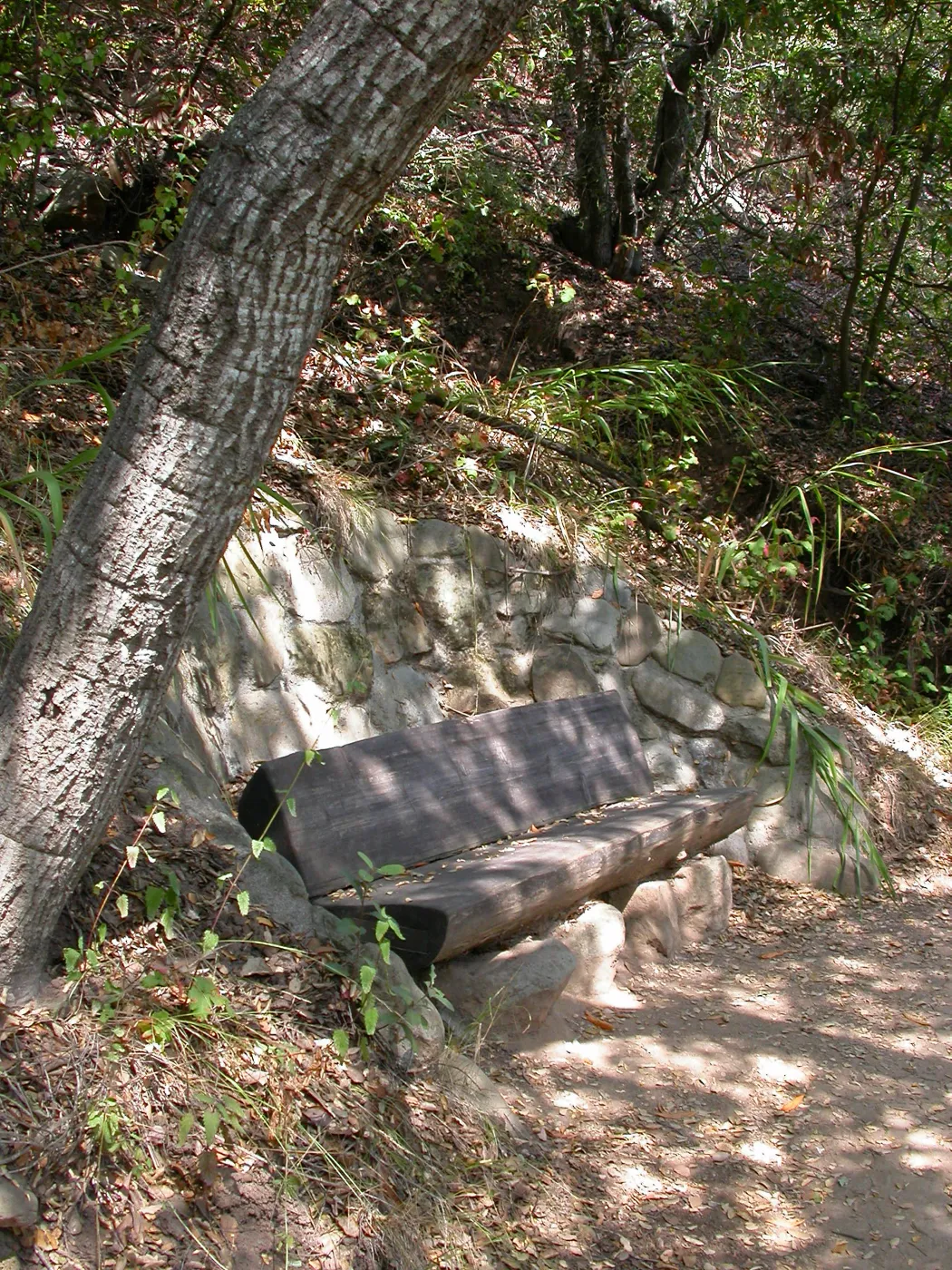 Easton Bench in the Island Section (Bench #46)
