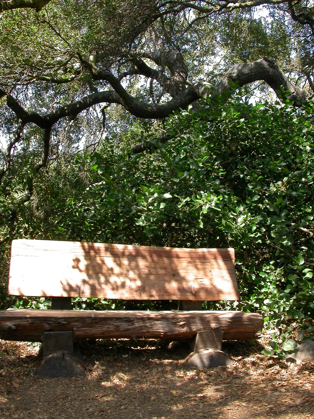 McLean Bench (Bench #54)