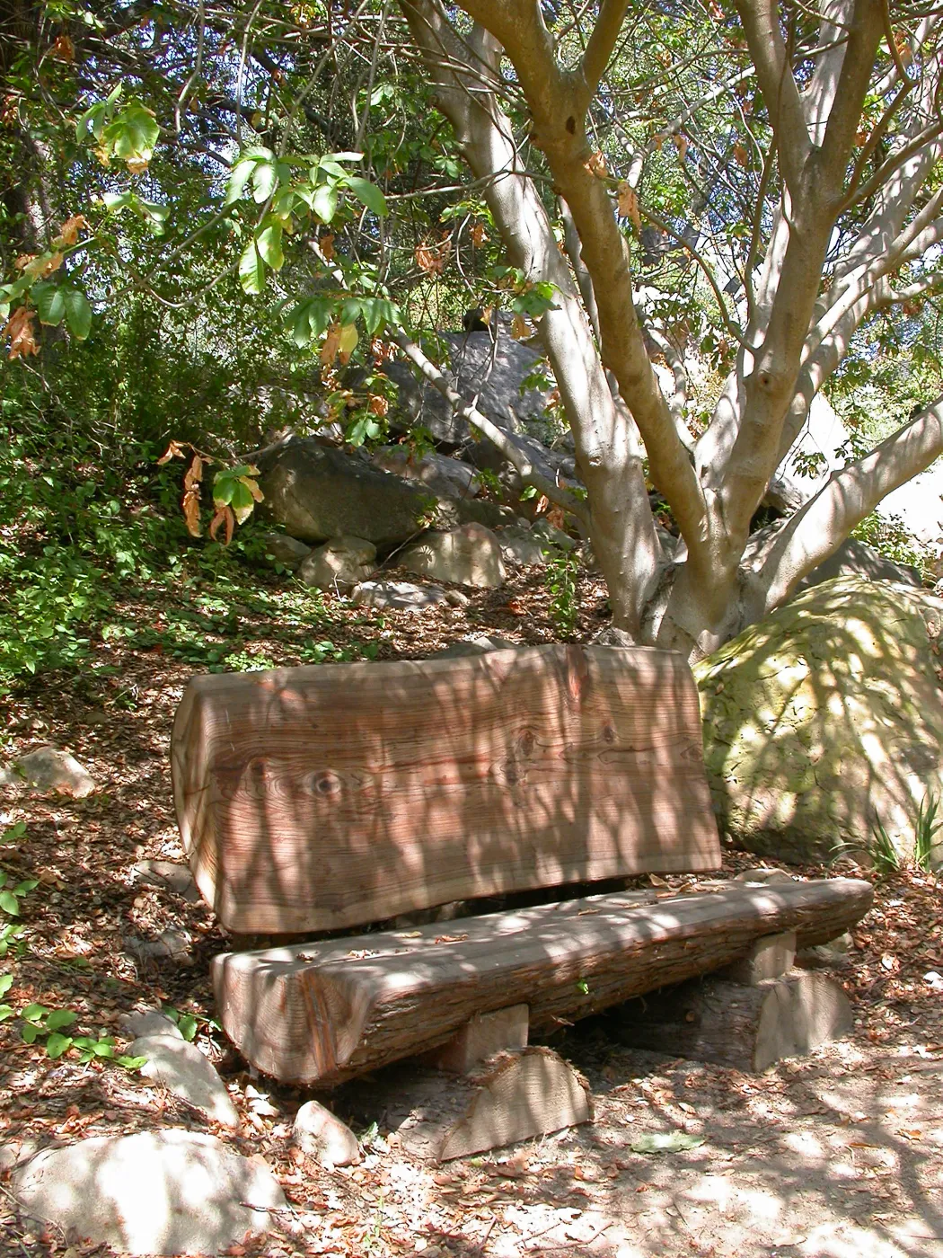 Kahlstrom Bench (Bench #58)