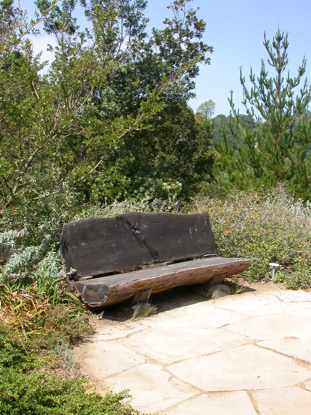 Archibald Bench (Bench #63)