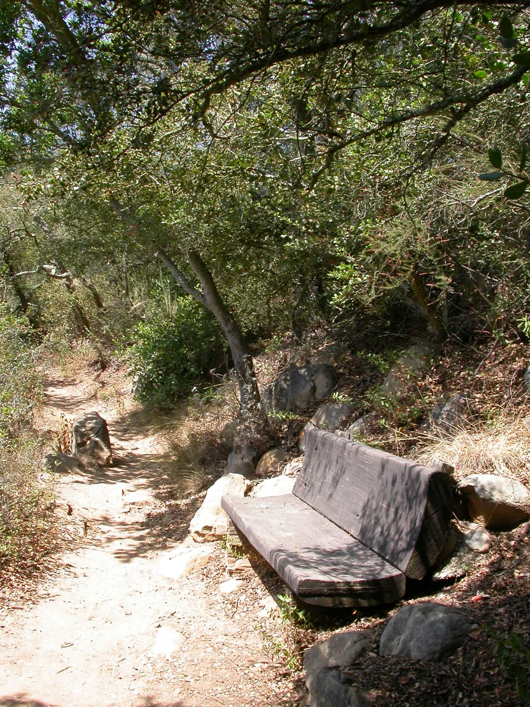 Hooper Bench (Bench #33)