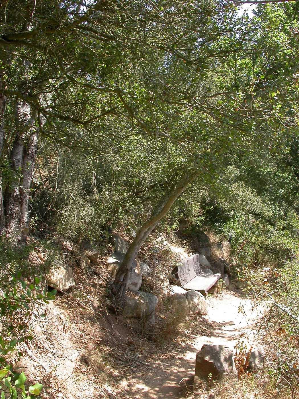 Hooper Bench (Bench #33)