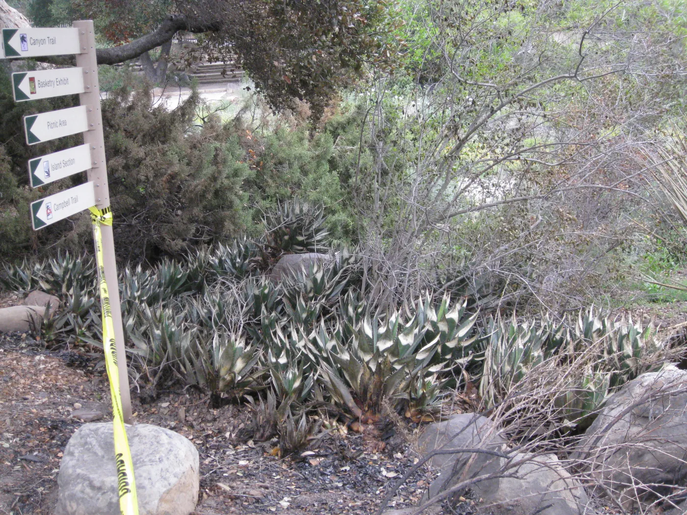 directional sign in the Desert Section after the Jesusita Fire