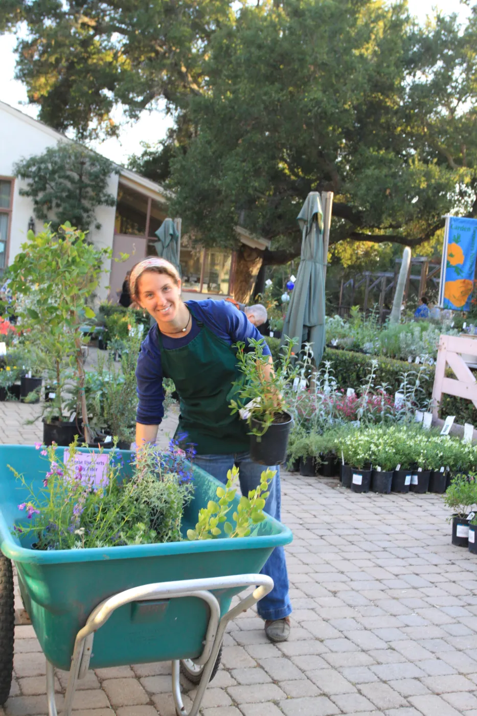 Ariel Ostroff preparing for plant sale