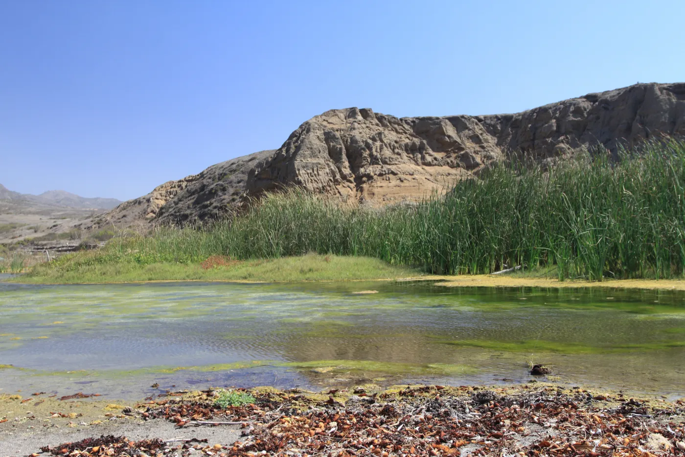 Santa Cruz Island field trip, 2009