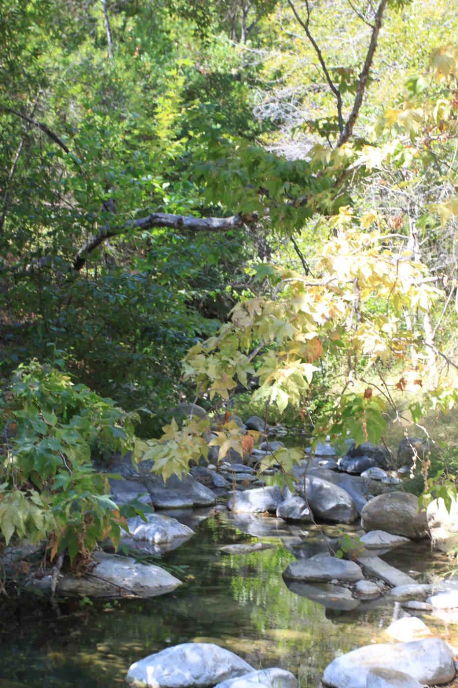 Arroyo Hondo Creek
