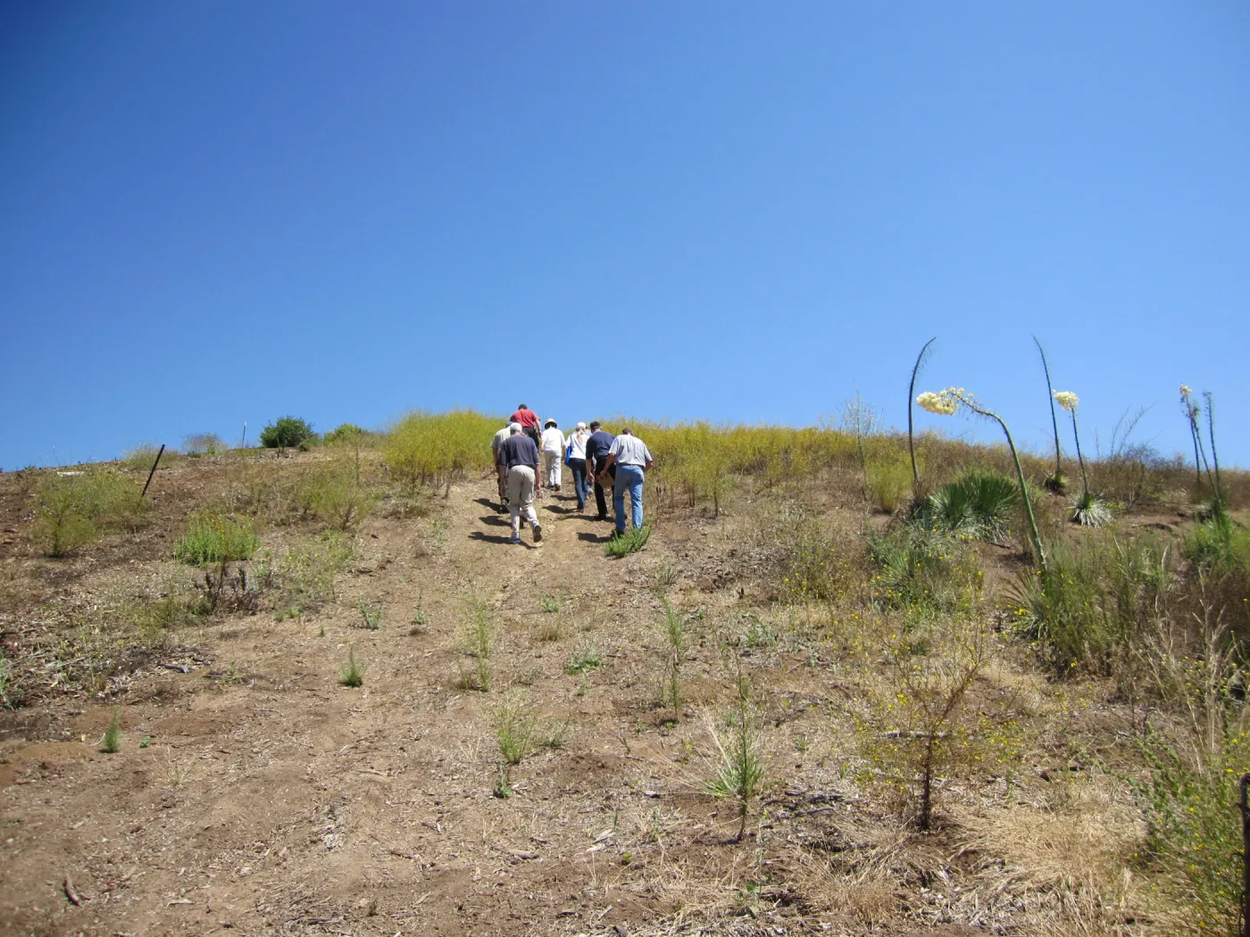 RAWS site review on SBBG Tipton Ridge