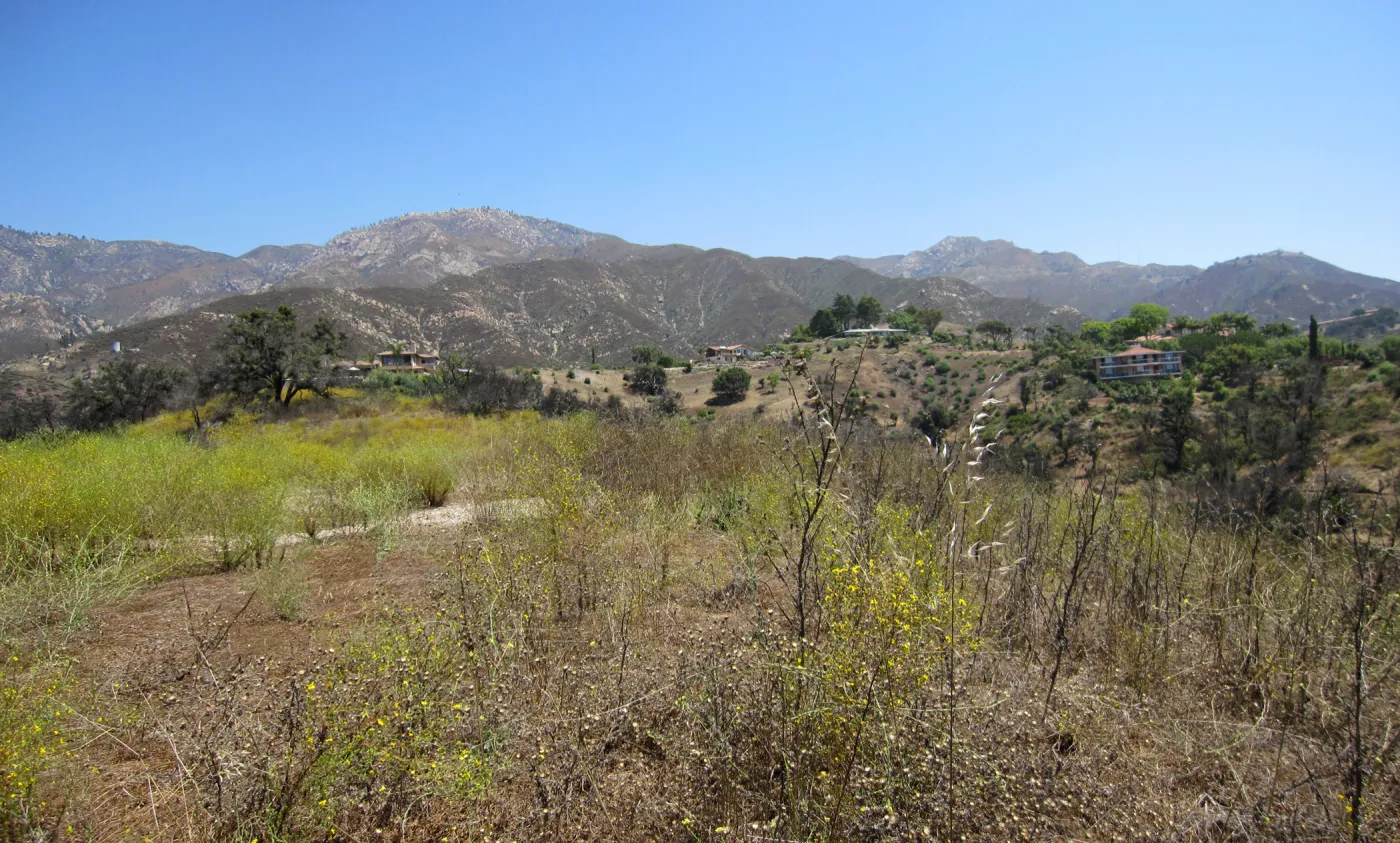 RAWS site review on SBBG Tipton Ridge