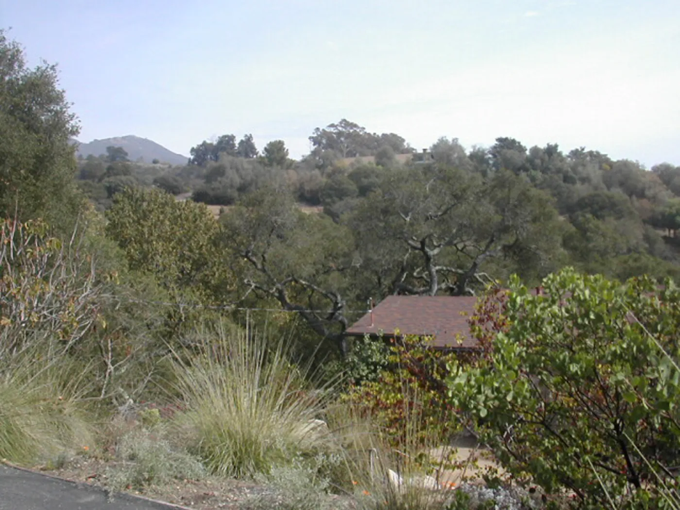 view of Tipton Ridge (RAWS site)