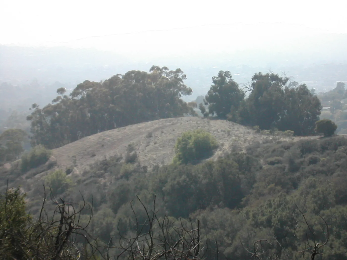 view of Tipton Ridge (RAWS site)