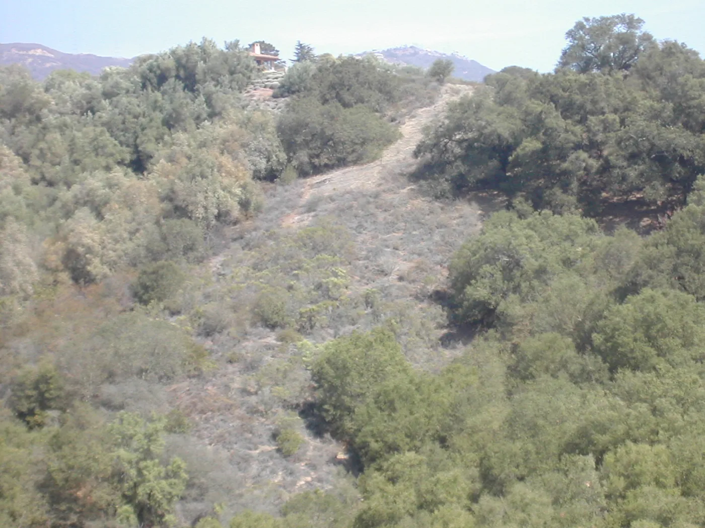 view of Tipton Ridge (RAWS site)