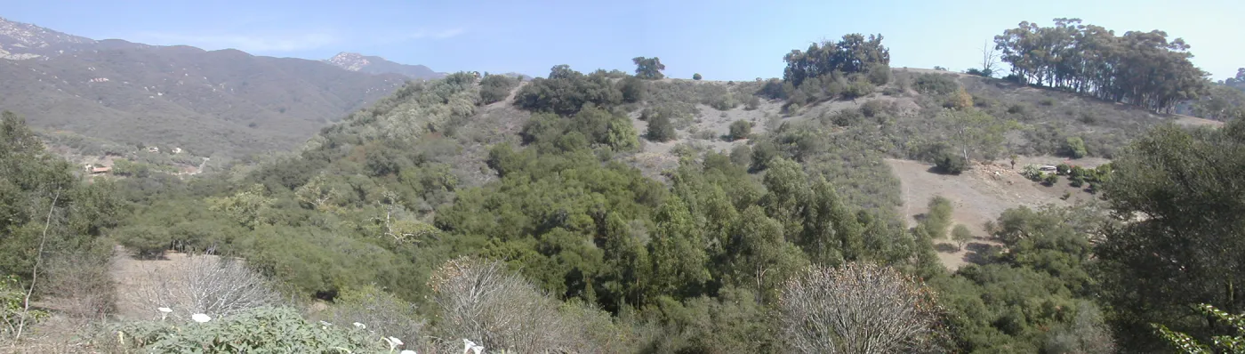 view of Tipton Ridge (RAWS site)