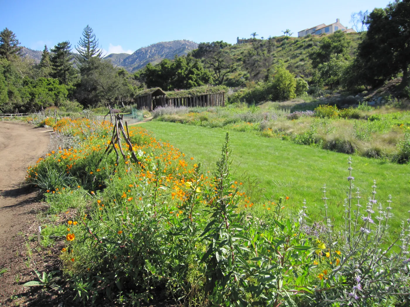 Herb Parker structure in the Meadow
