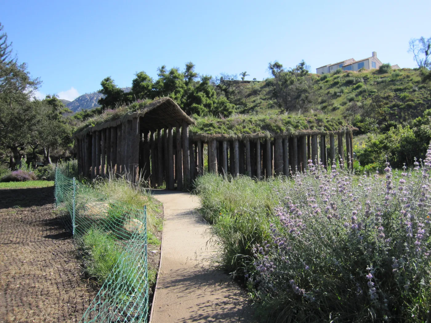 Herb Parker structure in the Meadow