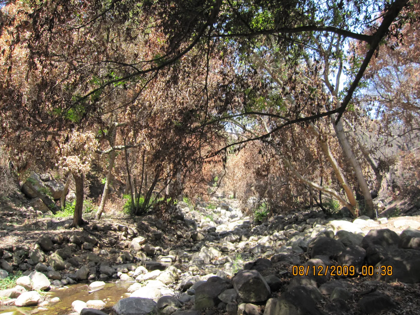 Mission Creek after the Jesusita Fire