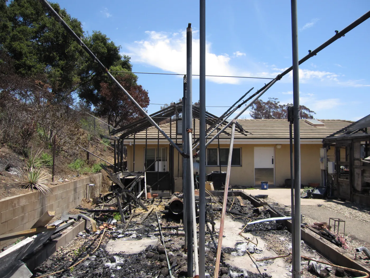 burned conservation lath house, Hort Unit, after the Jesusita Fire