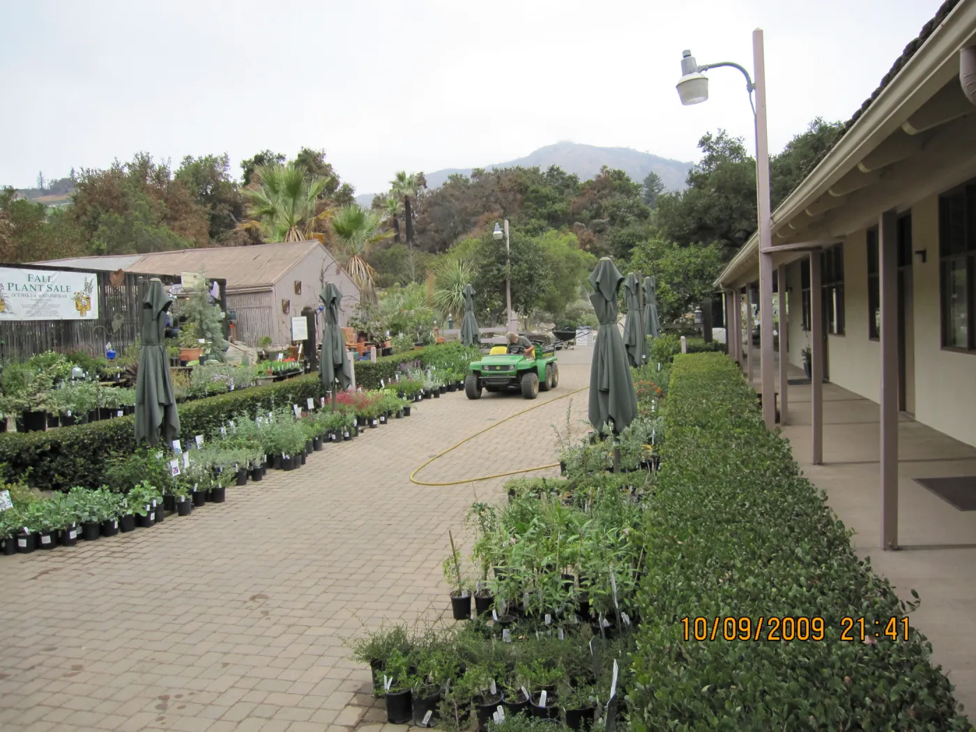 Art From Ashes art exhibit, after the Jesusita Fire