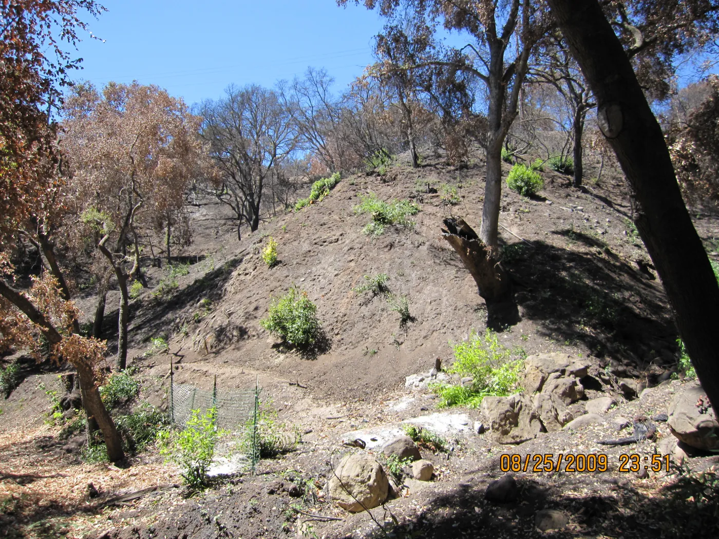 after trees were removed along the Canyon Trail, Mission Canyon after the Jesusita Fire