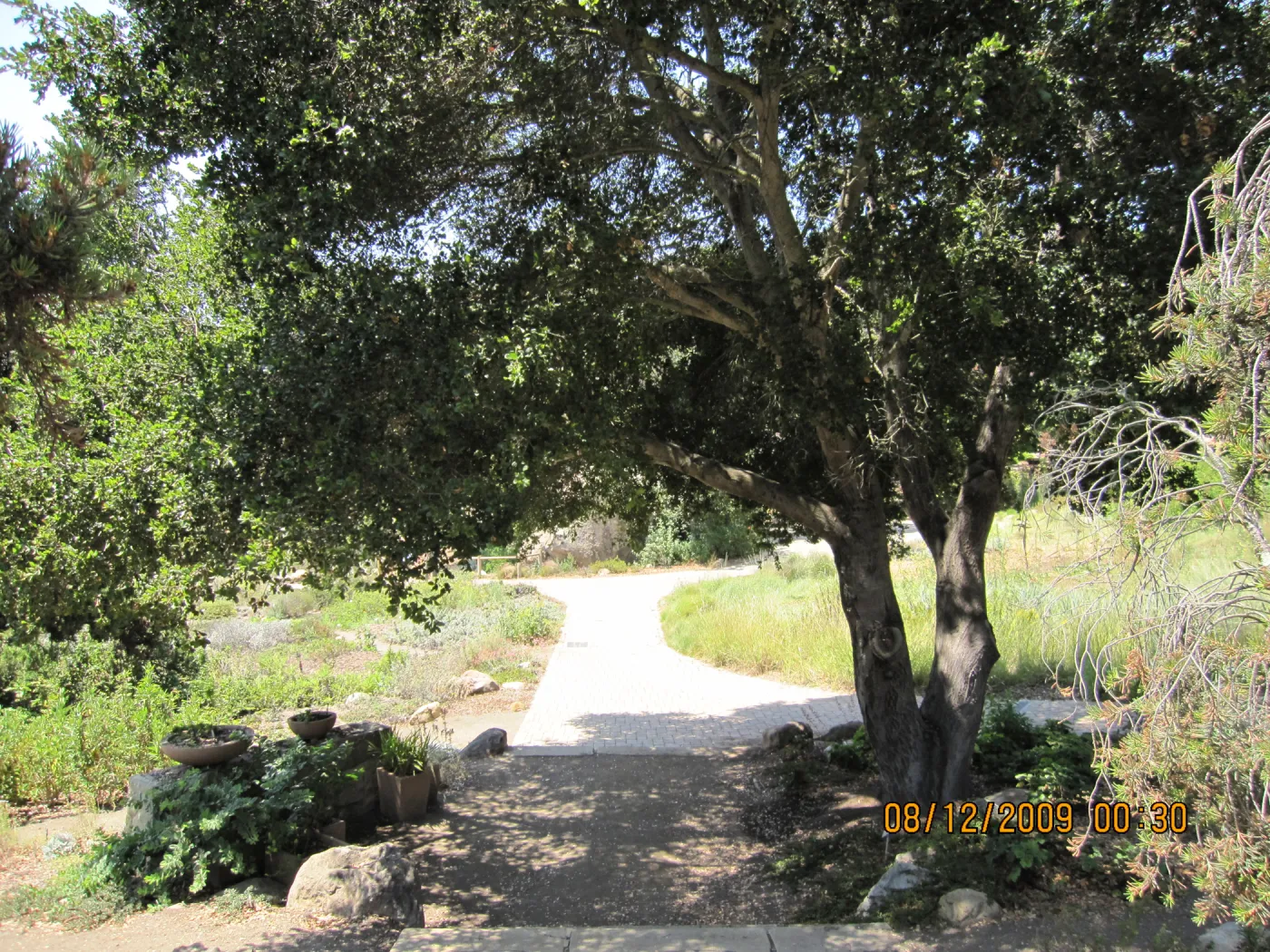 walkway to Blaksley Boulder and the Information Kiosk