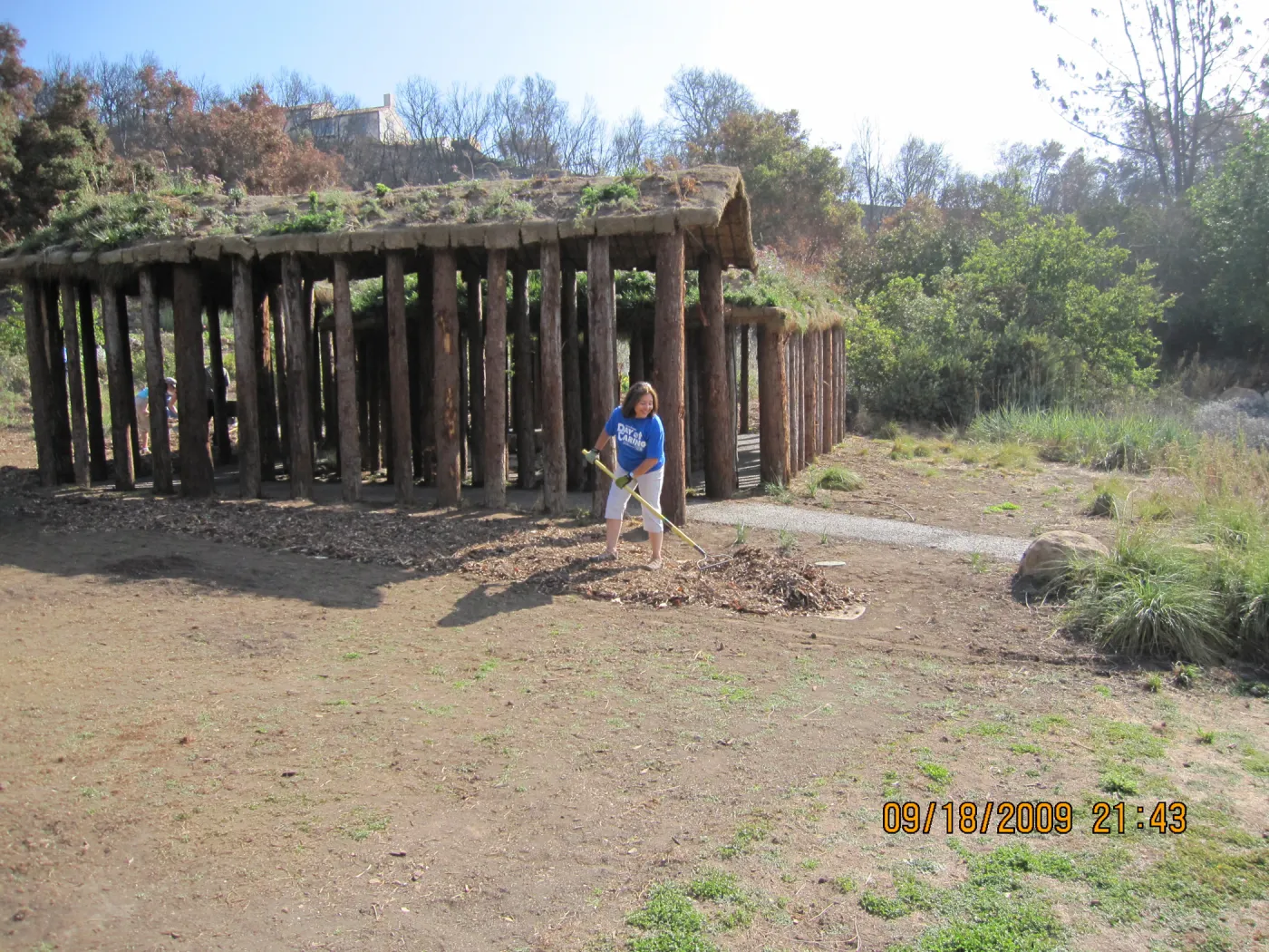 Day of Caring, volunteer activity