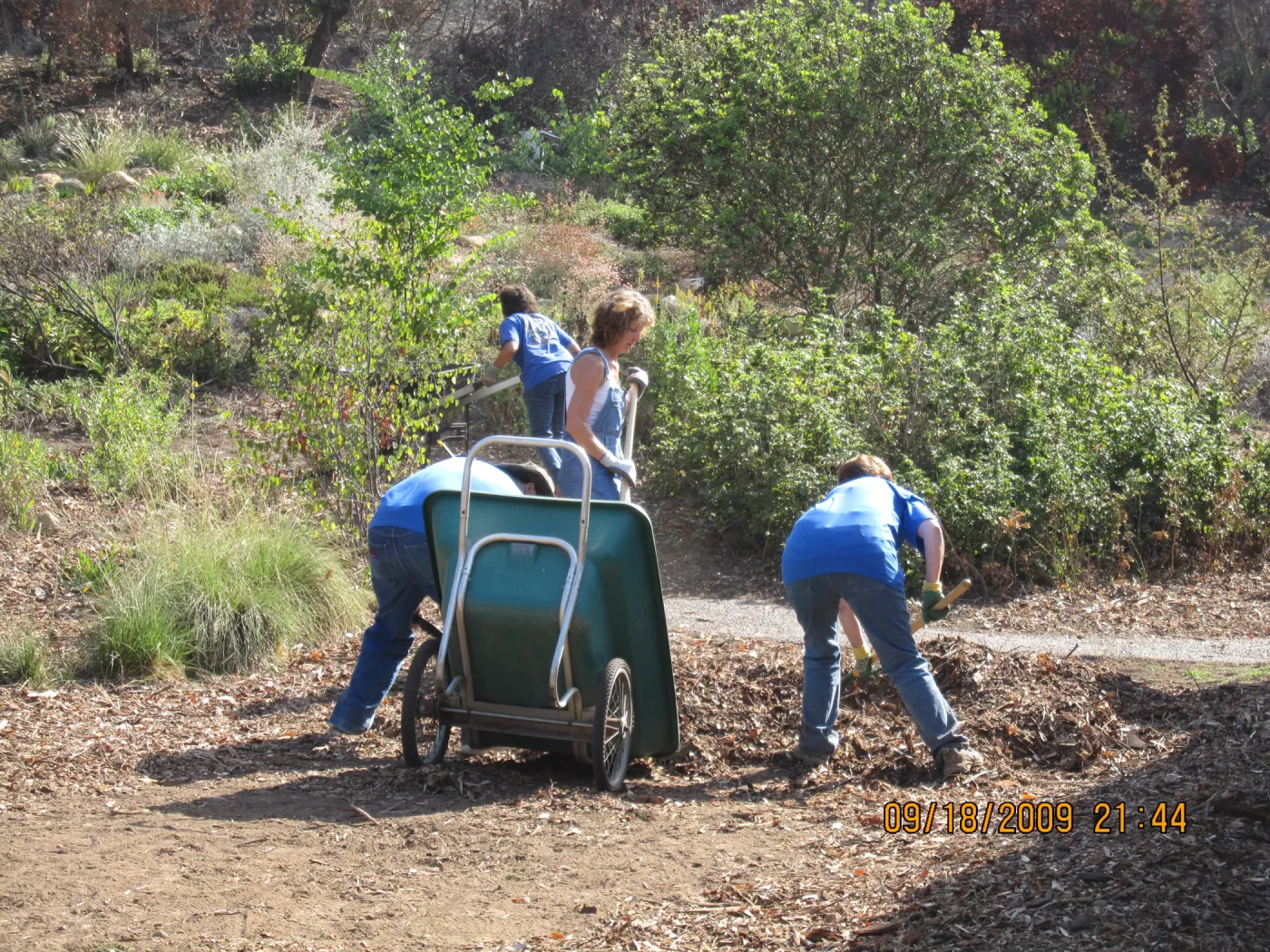 Day of Caring, volunteer activity