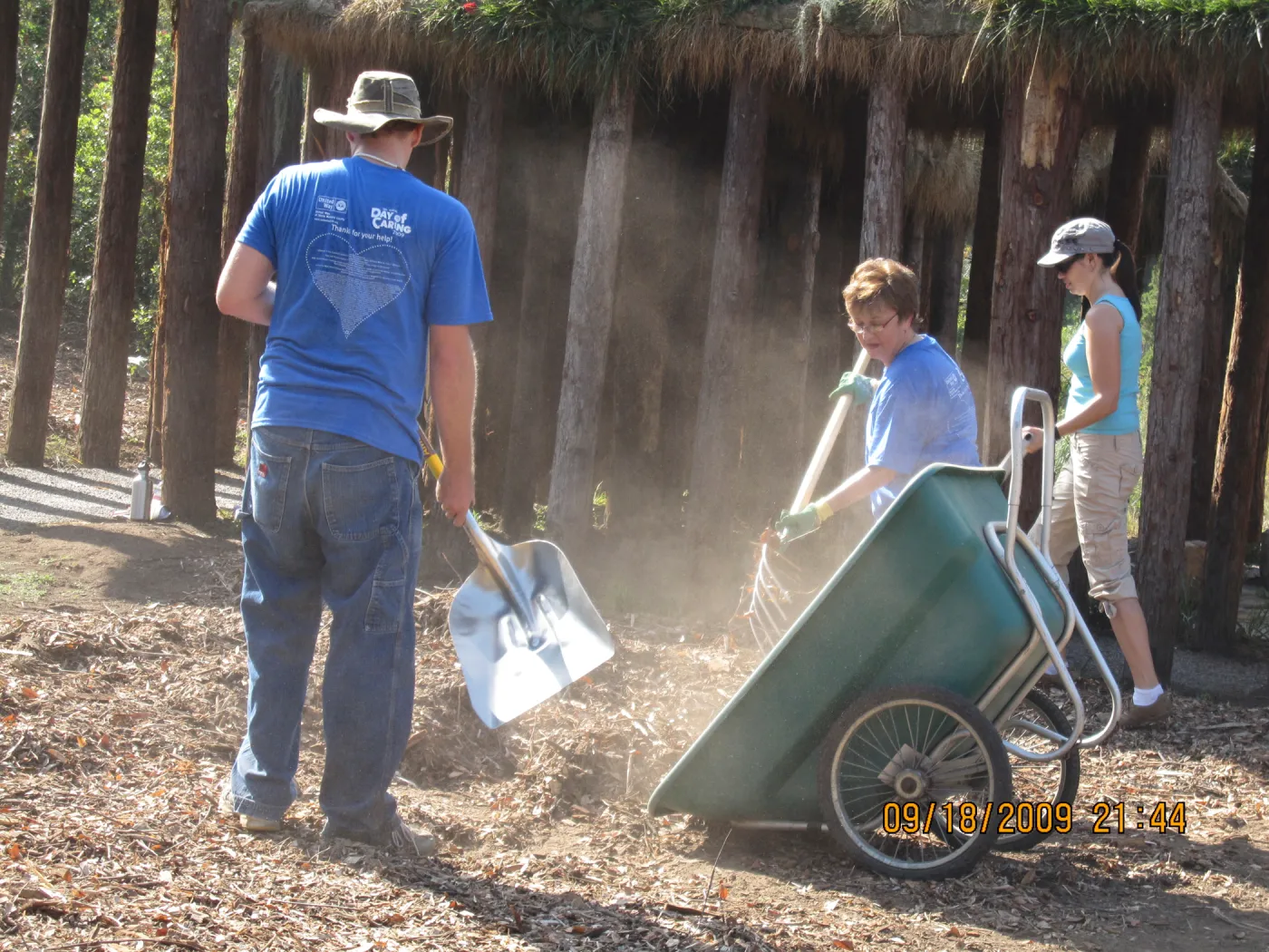 Day of Caring, volunteer activity