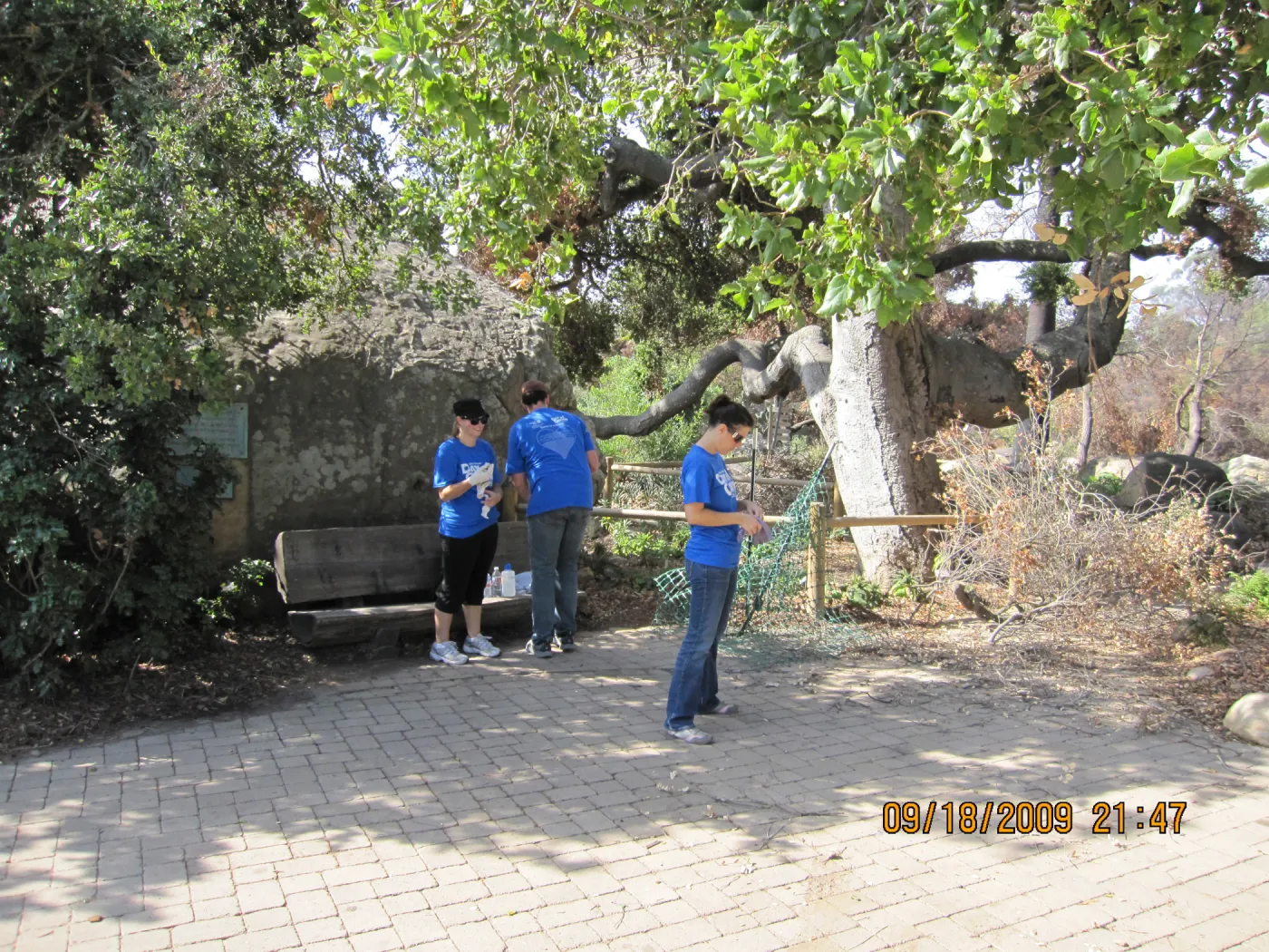 Day of Caring, volunteer activity