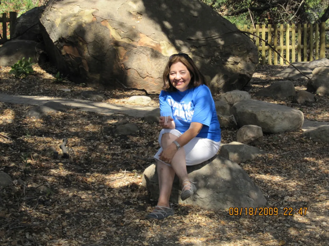 Day of Caring, volunteer activity