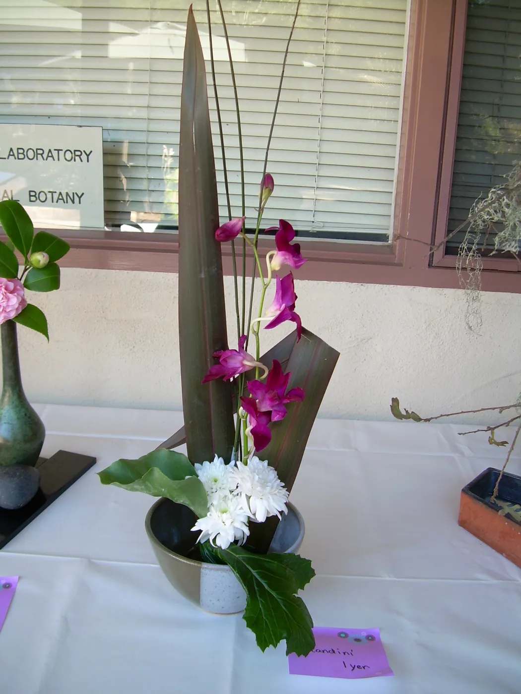 ikebana, floral arrangement