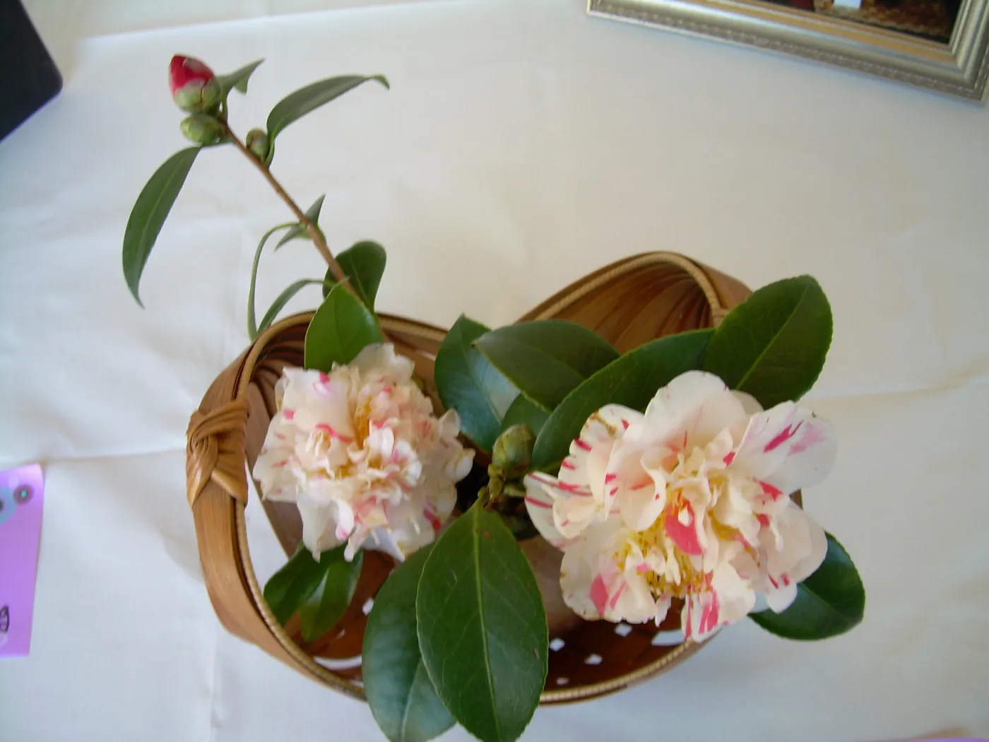 ikebana, floral arrangement