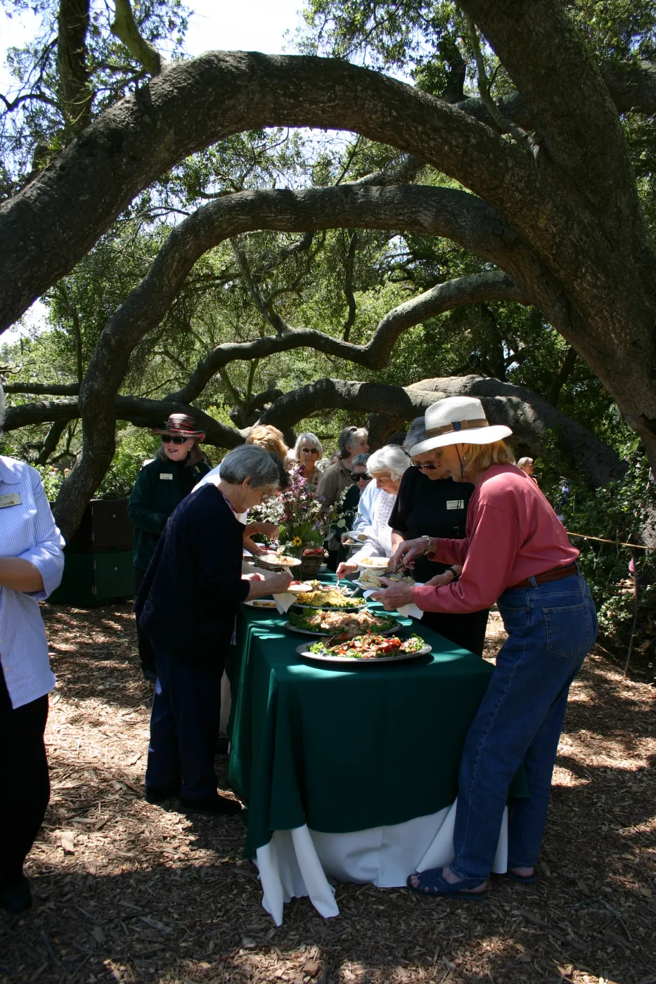 Volunteer Luncheon, 2004