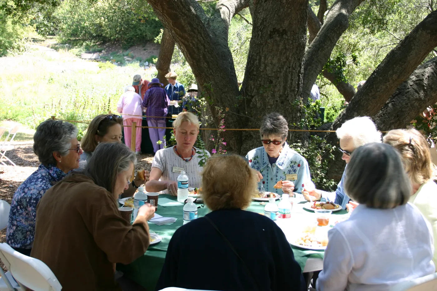 Volunteer Luncheon, 2004