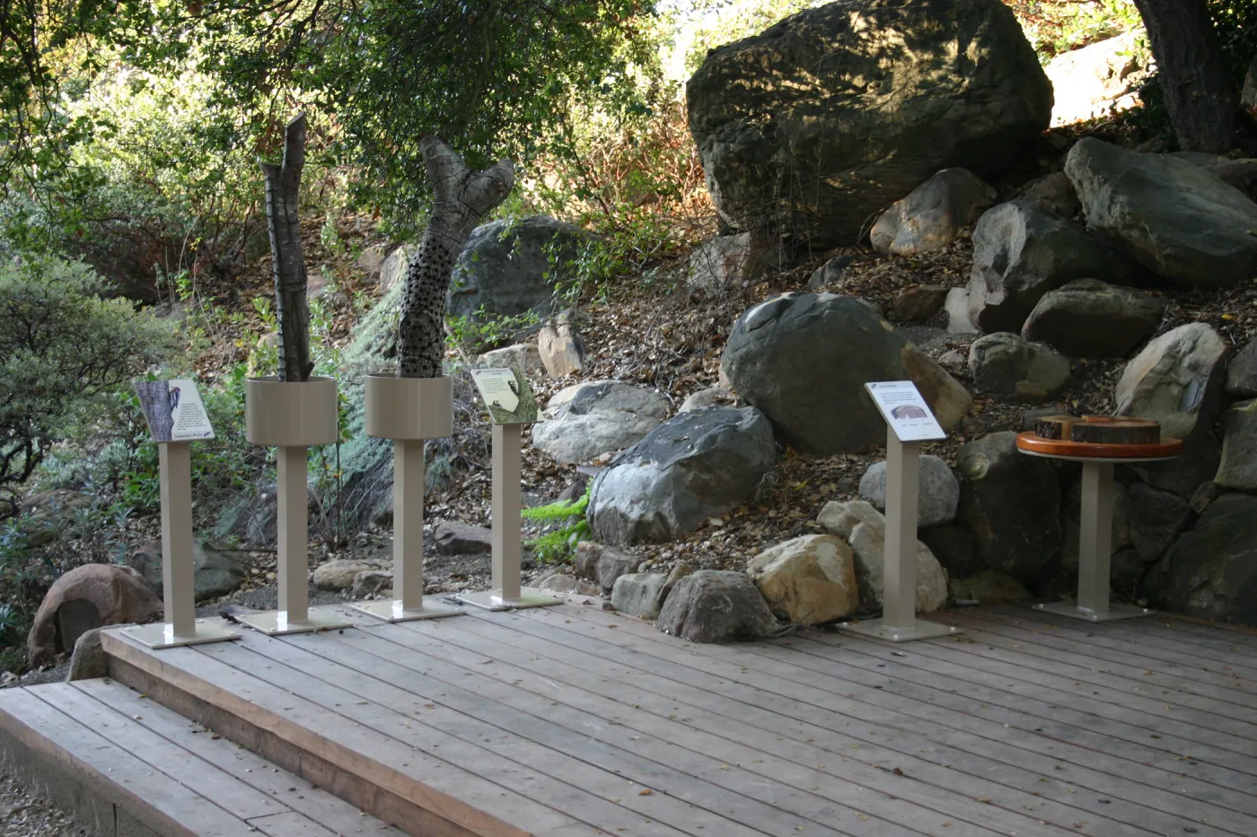 Discovery Garden, oak woodland interpretation deck