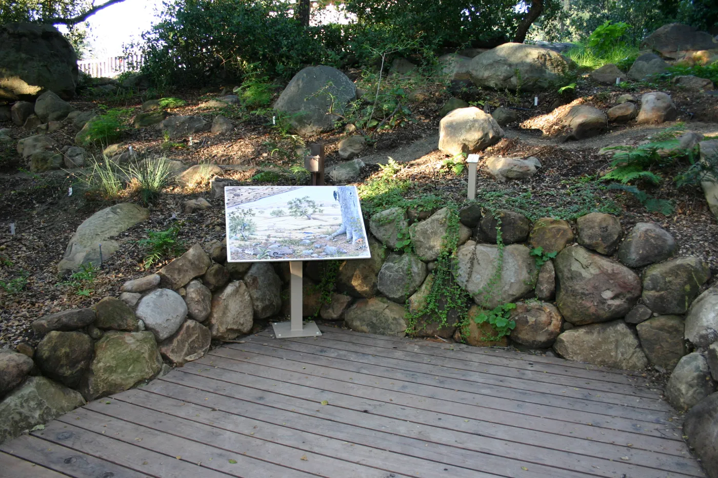 Discovery Garden, oak woodland interpretation deck