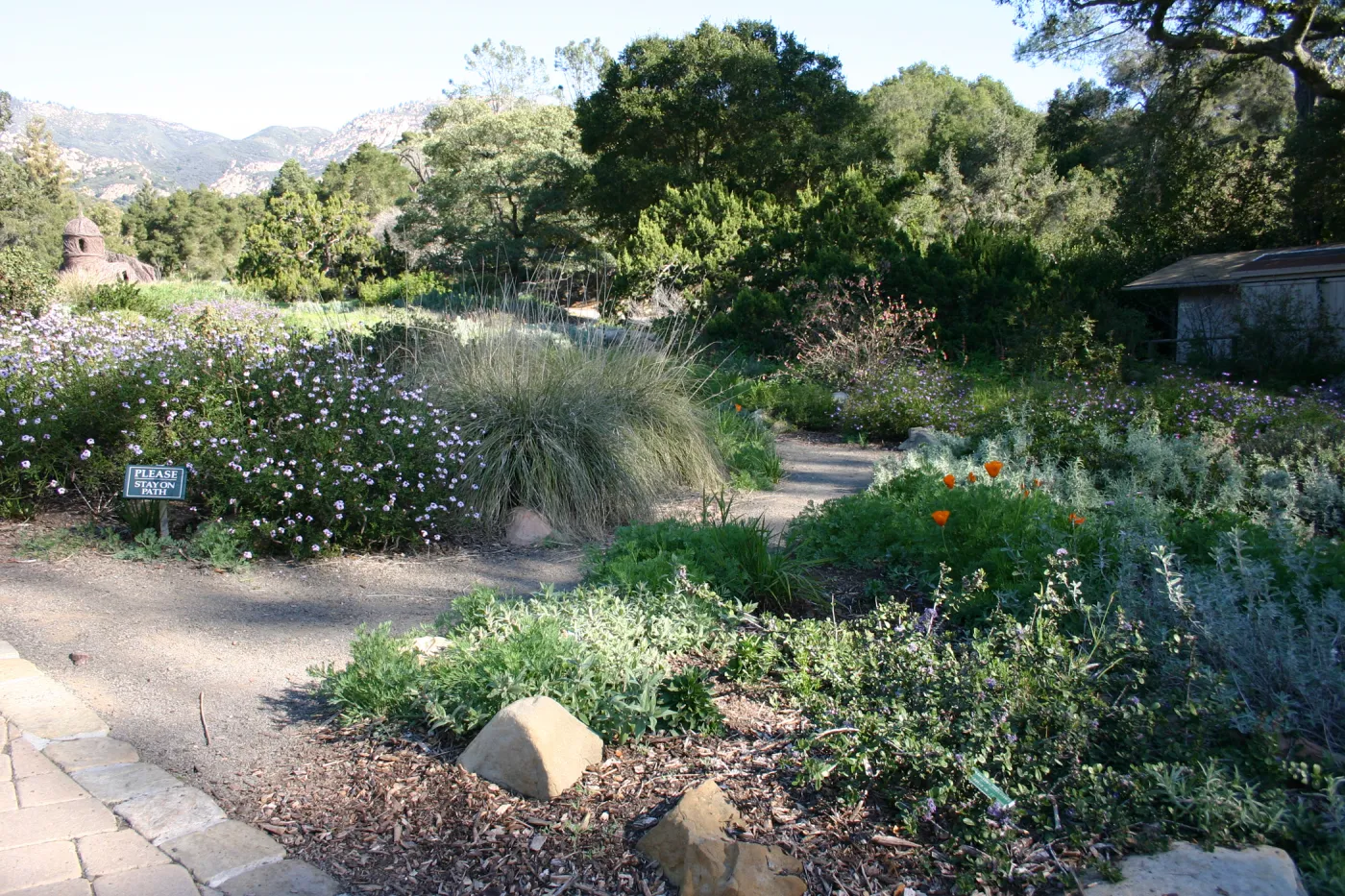 Ground Cover Display, lower Meadow Section