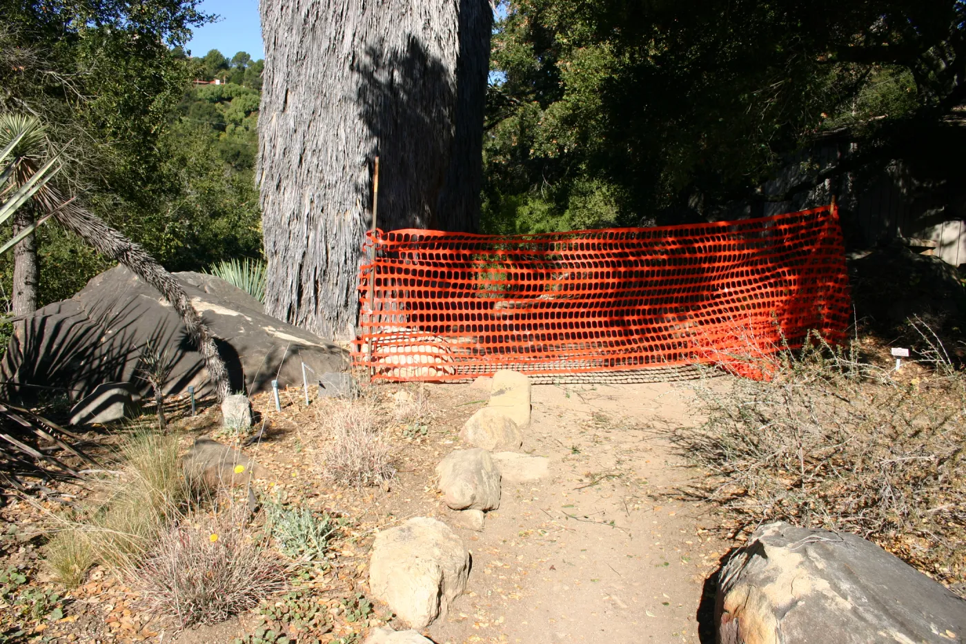 orange mesh fencing, Campbell Trail closed