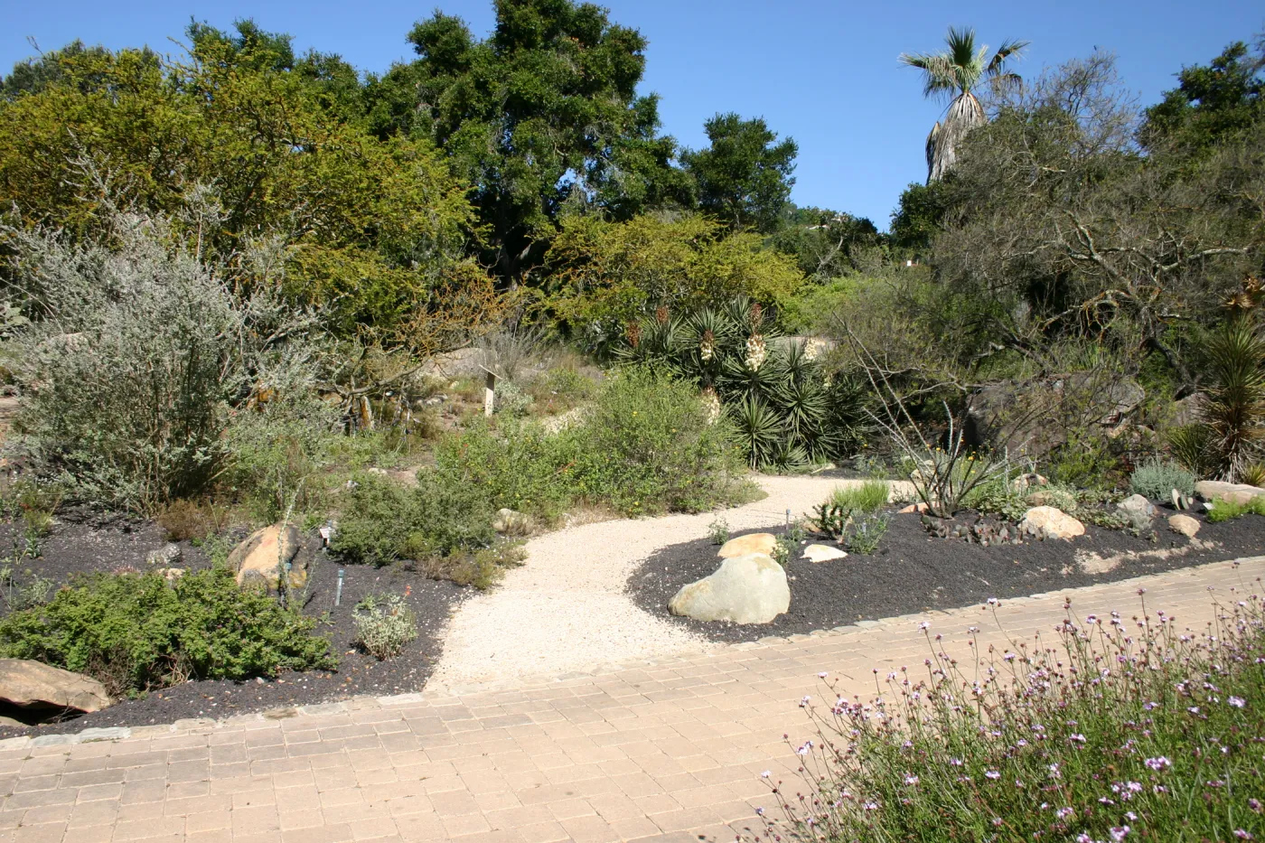 Desert Section, lava rock gravel